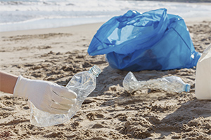 海岸清掃活動の様子